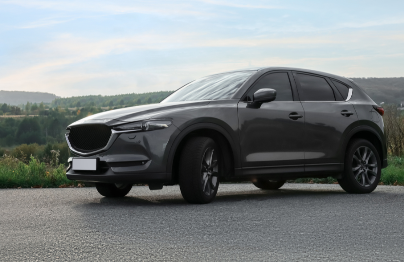 Xe Dịch Vụ Nguyễn Vy - Xe Sài Gòn Đi Miền Tây Giá Rẻ, Uy Tín